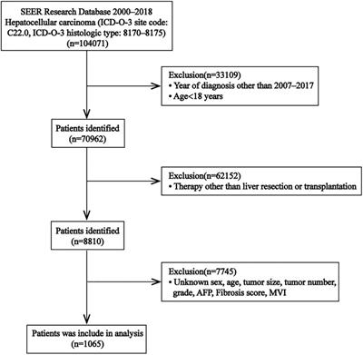 New insights into a microvascular invasion prediction model in hepatocellular carcinoma: A retrospective study from the SEER database and China